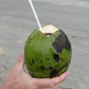 Kokoswasser 